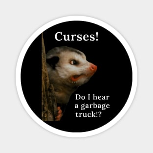 A peeved possum Magnet